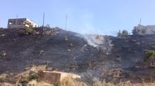 Siirt'te otluk alan alev ald�: Yo�un m�cadele sonras�nda s�nd�r�ld�