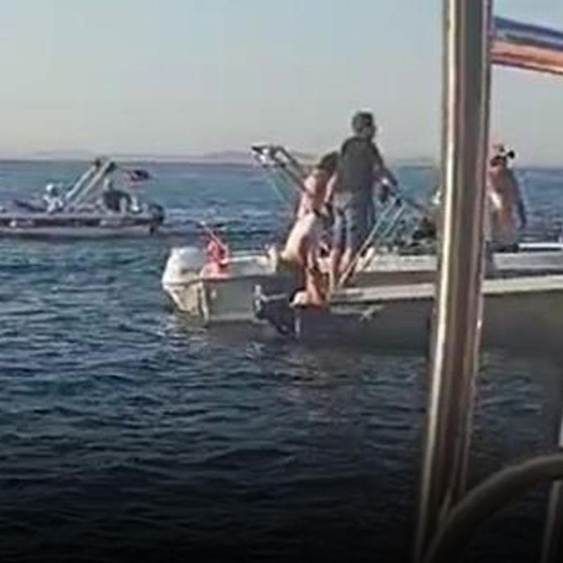 Yalova'da iki gemi birbirine girdi: 2 ki�i denize atlayarak kurtuldu