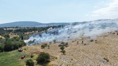 Mu�la'da orman yang�n�
