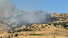 Diyarbak�r'da ��kan �rt� ve orman yang�n�na m�dahale ediliyor