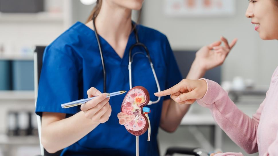 Böbrek hastalarında yeni gelişme: Klinikte test edildi