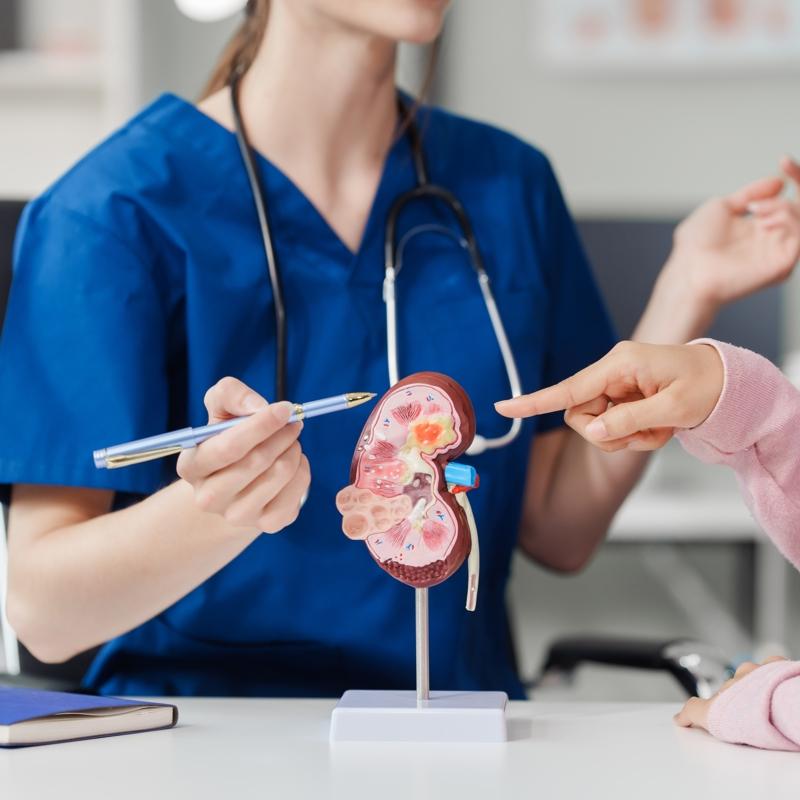 B�brek hastalar�nda yeni geli�me: Klinikte test edildi