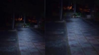 �ocuk park�nda ay� pani�i! Kameraya al�nd�
