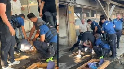 Fareler yemesin diye sarımsaklamış! Poşetlerden çıkanlar polisleri de şaşırttı