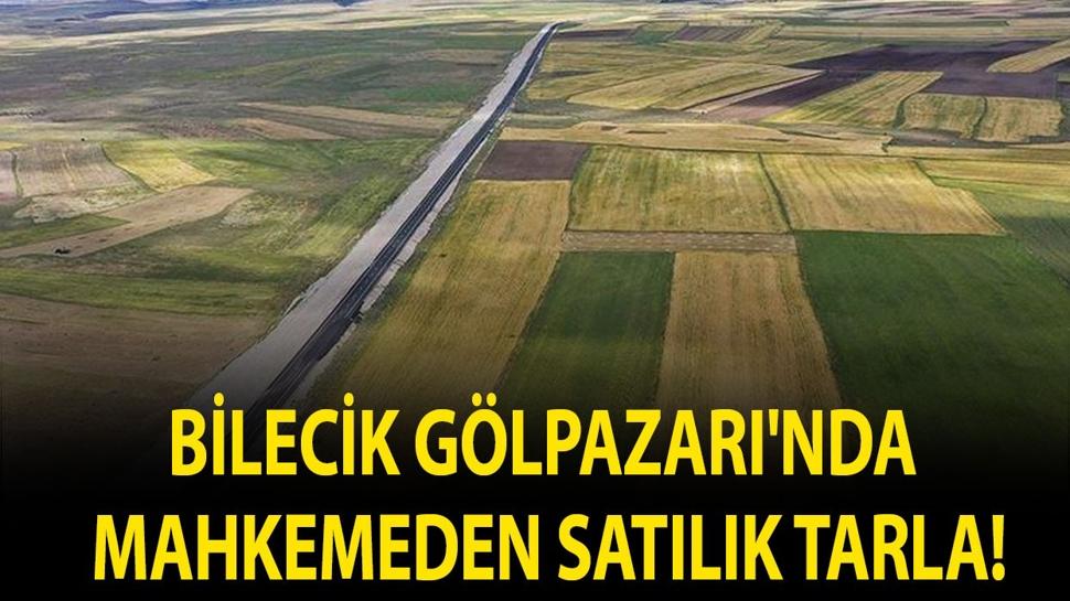 Bilecik Gölpazarı'nda mahkemeden satılık tarla!