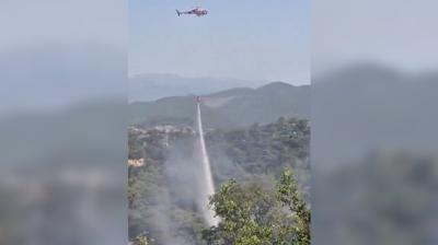 Antalya'da orman yangını! Ekipler seferber oldu