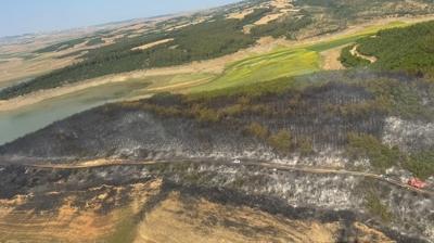 Tekirdağ'da 80 dekar ormanlık alan kül oldu: 3 helikopter ve 1 uçakla söndürüldü