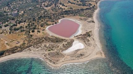 �anakkale'de g�rsel ��len ba�lad�: Kalpli G�l yeniden pembeye b�r�nd�