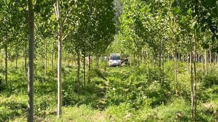 Kastamonu'da kavakl�k alanda bir ki�i �l� bulundu