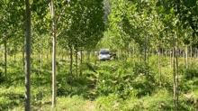 Kastamonu'da kavakl�k alanda bir ki�i �l� bulundu