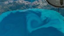 NASA g�r�nt�ledi! Marmara ve Karadeniz'de dikkat �eken de�i�im