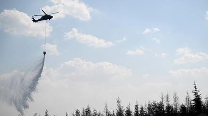 Ankara'da ot yang�n�: Havadan ve karadan m�dahale ediliyor
