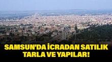 Samsun Bafra'da icradan sat�l�k tarla ve yap�lar!