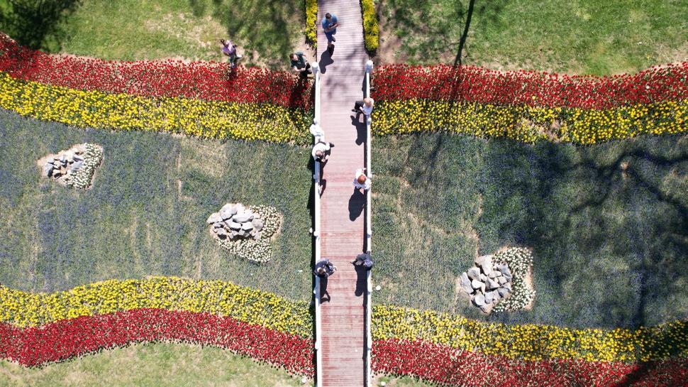 Osmanlı'dan günümüze taşınan bir miras: Gülhane Parkı'ndaki lalelerin bilinmeyen hikâyesi