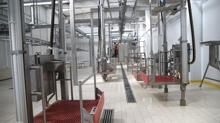 �iftlikten sofraya takip d�nemi: Kesimhanelere dijital denetim geliyor