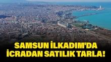 Samsun �lkad�m'da icradan sat�l�k 1.579 metrekare tarla!