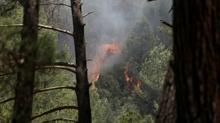 Fethiye'de orman yang�n�