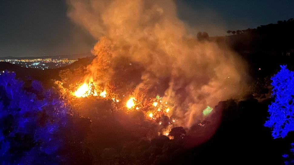 İzmir'de ormanlık alanda yangın… Alevlere müdahale ediliyor