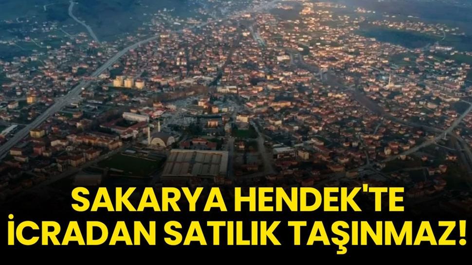Sakarya Hendek'te 29.762,00 metrekare icradan satılık taşınmaz!