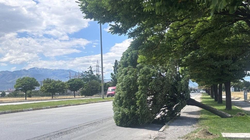 Akşam saatlerine dikkat! Rüzgarın hızı 60 kilometreye kadar çıkacak
