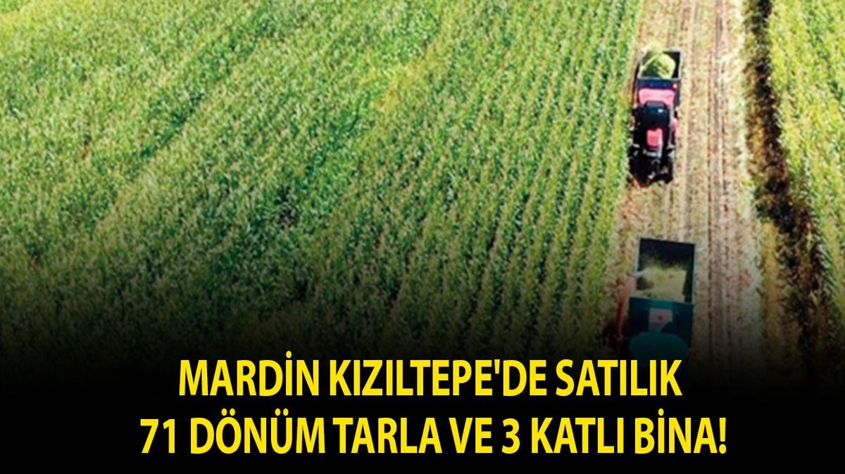 Mardin Kızıltepe'de satılık 71 dönüm tarla ve 3 katlı bina!