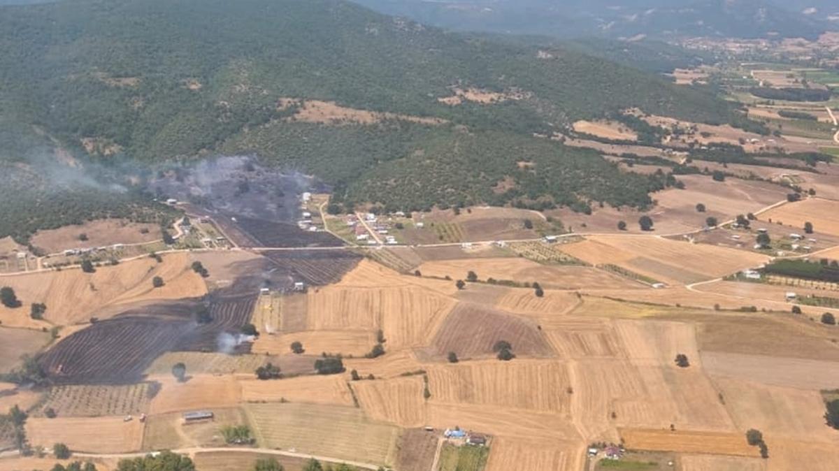 Bursa ve İzmir'de çıkan orman yangınına müdahale ediliyor