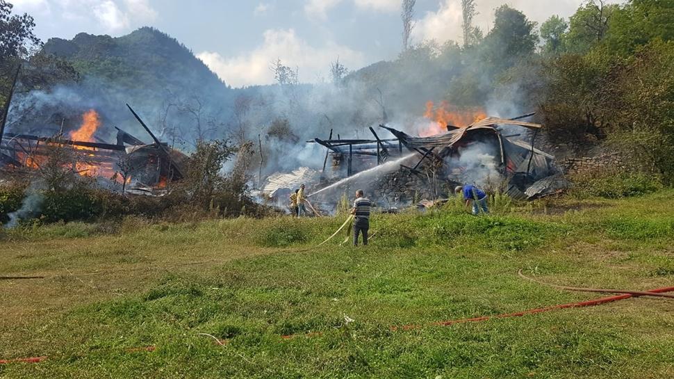 Köyde korkutan yangını: 4 ev alevlere teslim oldu