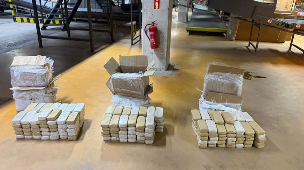 Narkotik köpeği yakaladı! Kargo paketlerinden 109 kilo yasaklı madde çıktı
