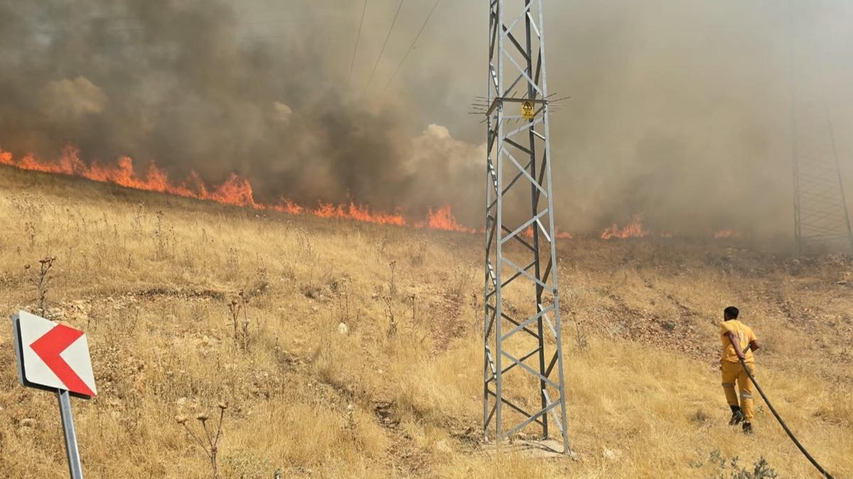 Örtü yangını ormana sıçradı