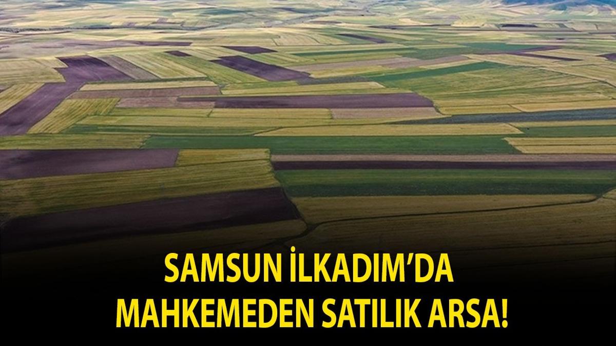 Samsun İlkadım'da mahkemeden satılık arsa!