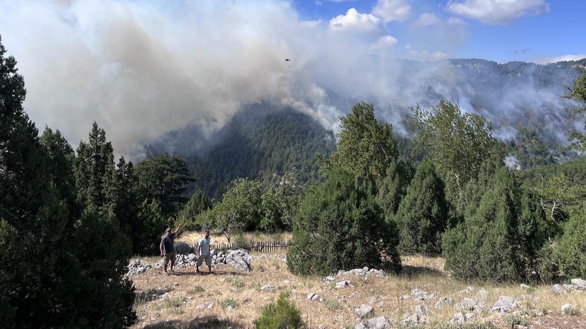 Antalya'nın Manavgat ilçesinde orman yangını