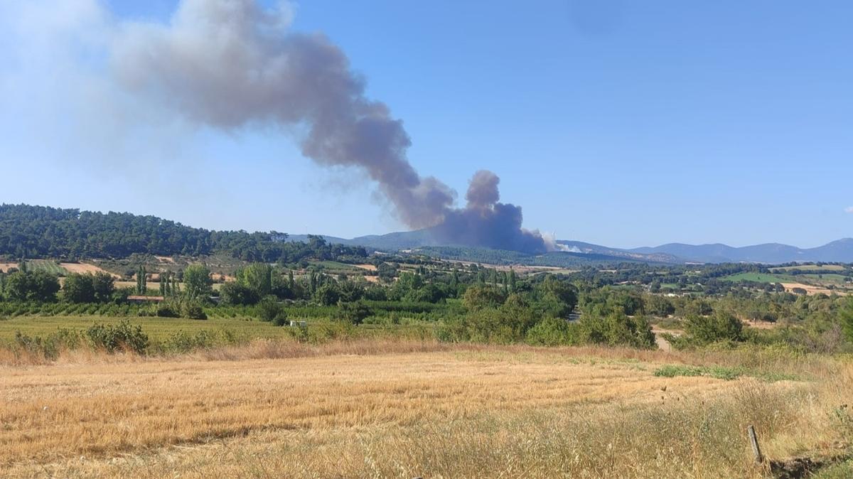 Çanakkale'de orman yangını