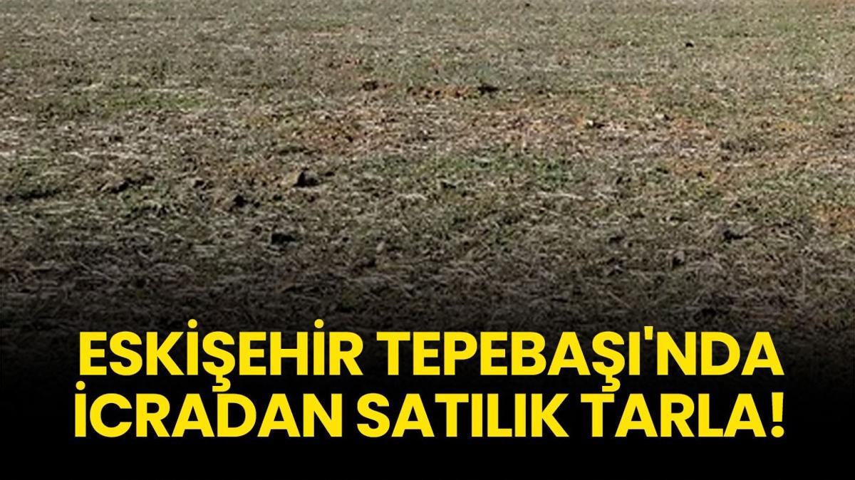 Eskişehir Tepebaşı'nda icradan satılık tarla!