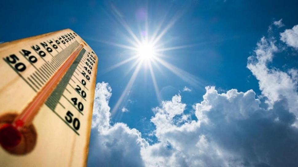 Belçika'da kayıtlara geçen en sıcak yaz yaşandı