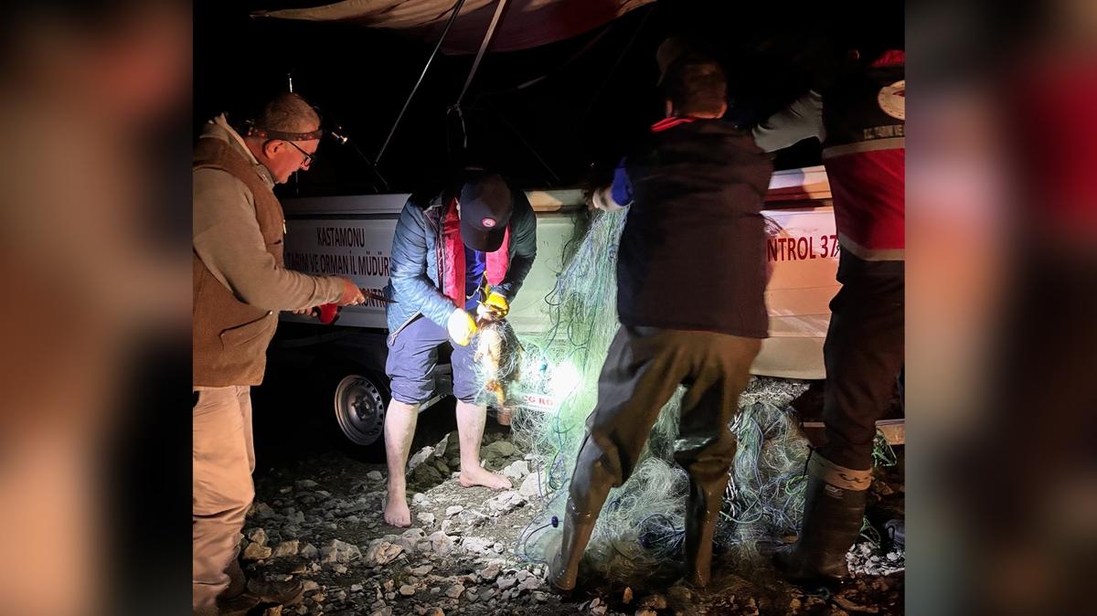 Barajda tonlarca ağ ele geçirildi: Hayatta kalan 225 sazan suya bırakıldı