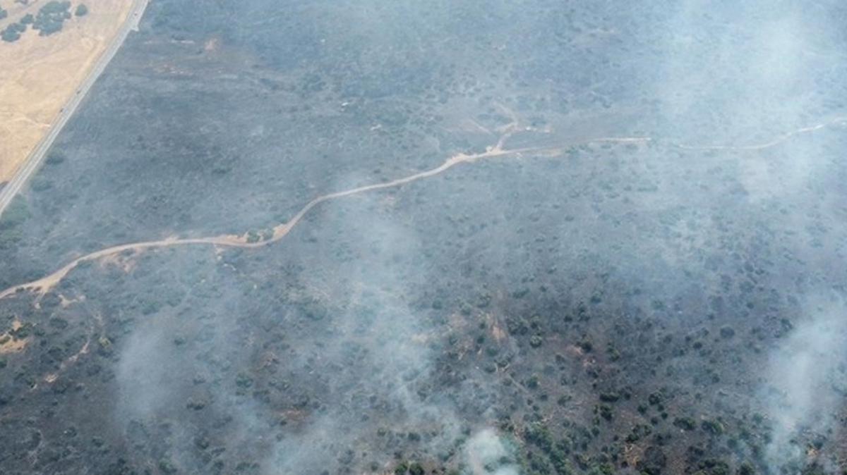 Elazığ'da yangın ormana sıçradı: Müdahale ediliyor
