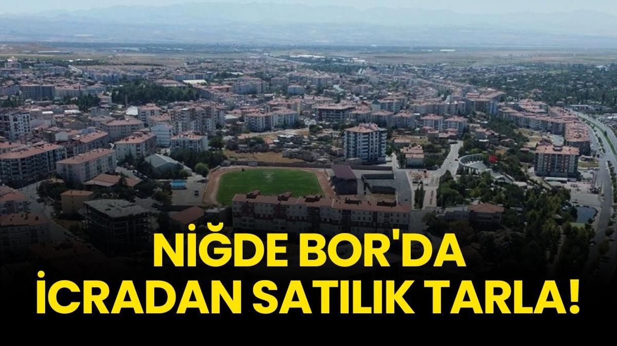 Niğde Bor'da icradan satılık tarla!