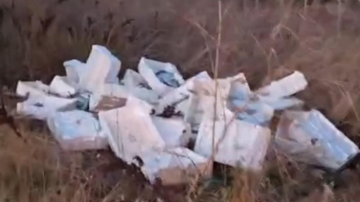 Kasalar dolusu balığı araziye döktü: Vatandaşın ihbarı yakalattı