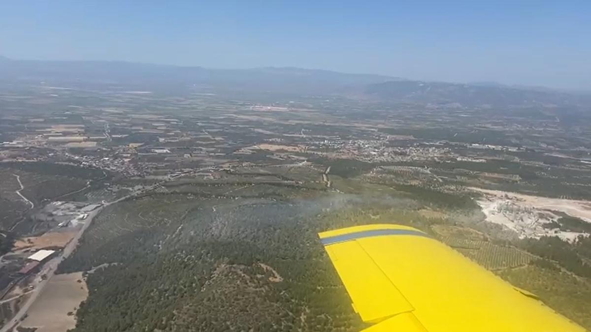 Manisa'da orman yangını! Havadan ve karadan müdahale