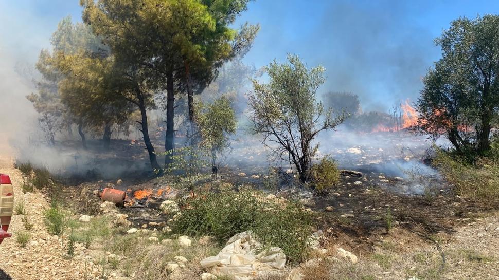Antalya'da zirai alanda çıkan yangın söndürüldü