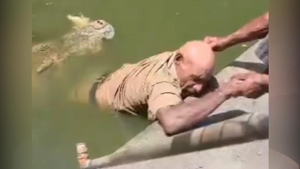 Bir anda havuza çekmeye çalıştı! Timsah saldırısı ölümle sonuçlandı