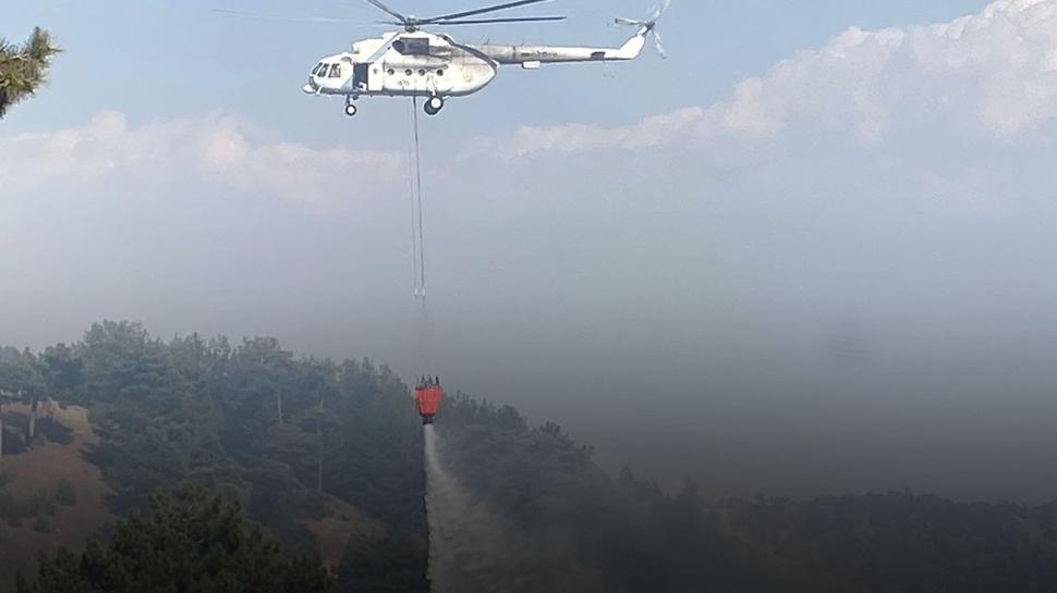 Kahramanmaraş'ta felaket önlendi: Ormanlıkta çıkan yangın söndürüldü