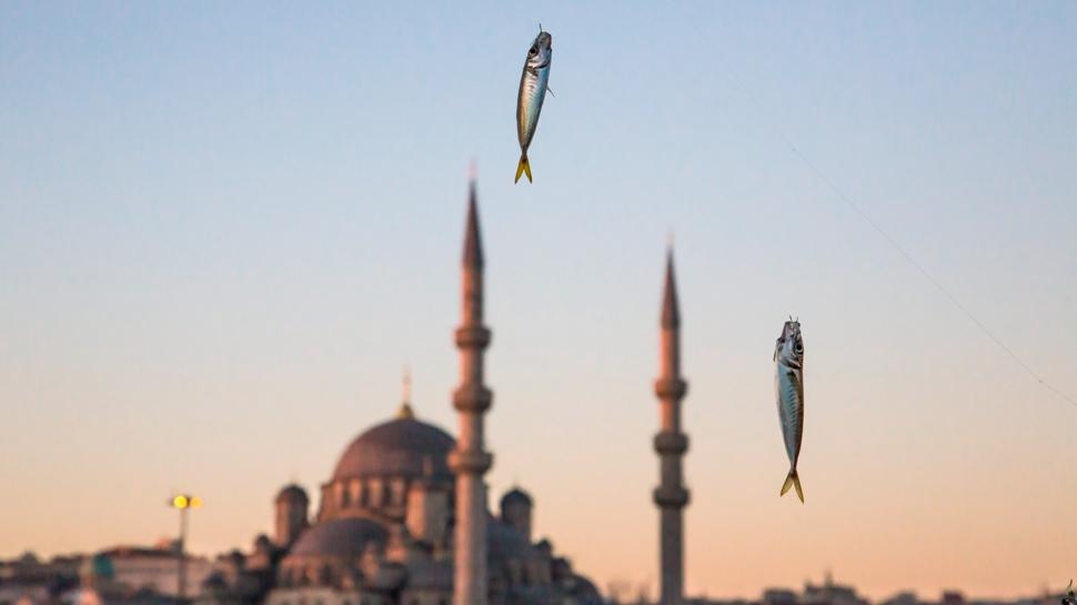 Mustafa Seven'in kadrajından İstanbul sokaklarında gözden kaçan anlar