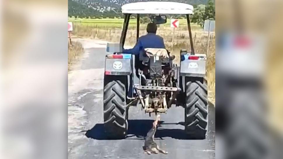 Vicdan sızlatan görüntü... Köpeği traktöre bağlayıp sürükledi