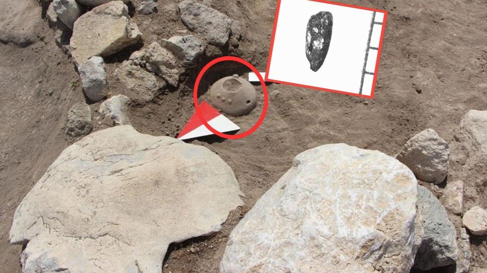 Dünyada sadece Gölbaşı'nda yetişiyor! 4 bin yıllık Hitit kabında eşsiz buluntu