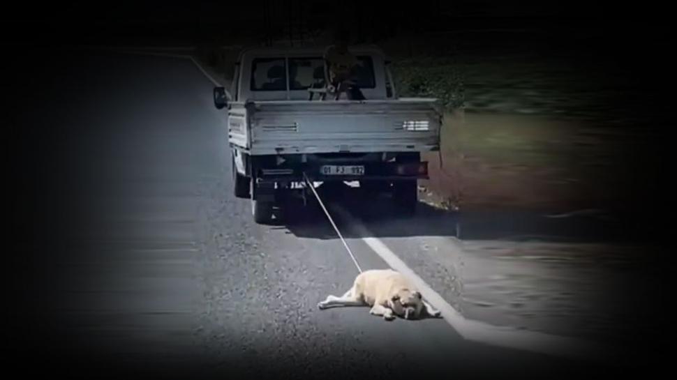 Şanlıurfa'da vahşetin görüntüleri: Köpeği aracın arkasına bağlayıp sürüklediler
