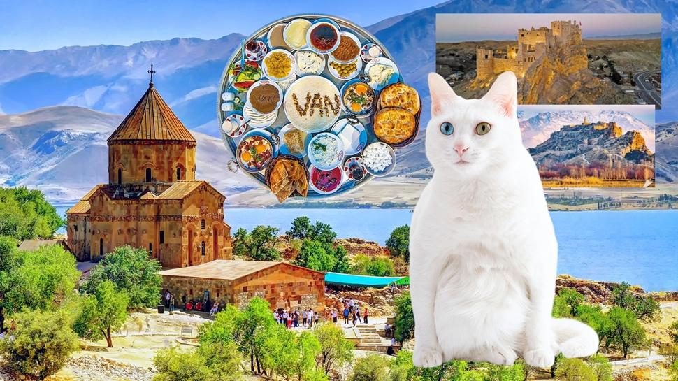 Doğu'da mavi hazine Van! Keşfedilecek sayısız güzellik sunuyor
