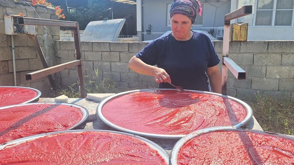 Manisalı kadınların salça tarifi: 10 günde hazır