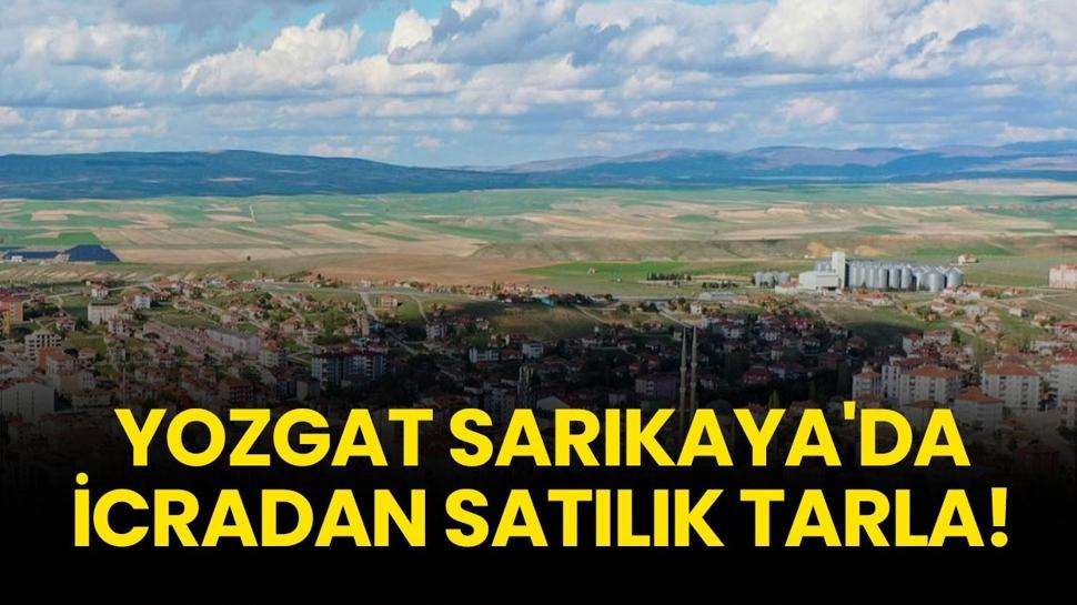Yozgat Sarıkaya'da icradan satılık tarla!