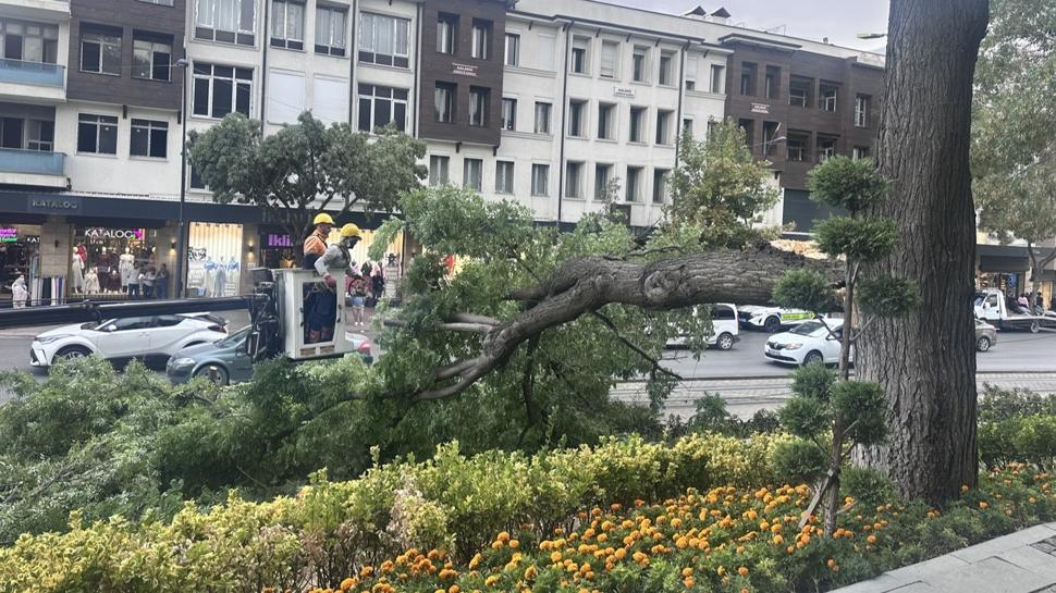Konya'da fırtına etkili oldu: Üzerine ağaç devrilen çocuk yaralandı